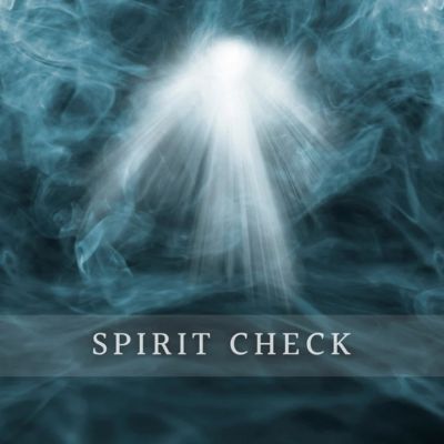 Spirit Assessment/Spirit Companions Check